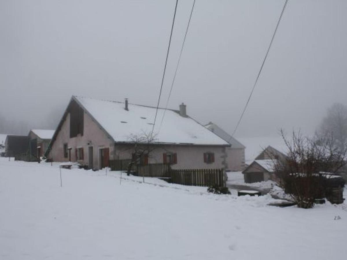 Gite Paisible A 650M D'Alt., Nature, Cheminee, 3 Ch. Pres De Remiremont & Plombieres, Terrasse, Grand Terrain - Fr-1-589-50 Жирмон-Валь-д'Ажоль Экстерьер фото