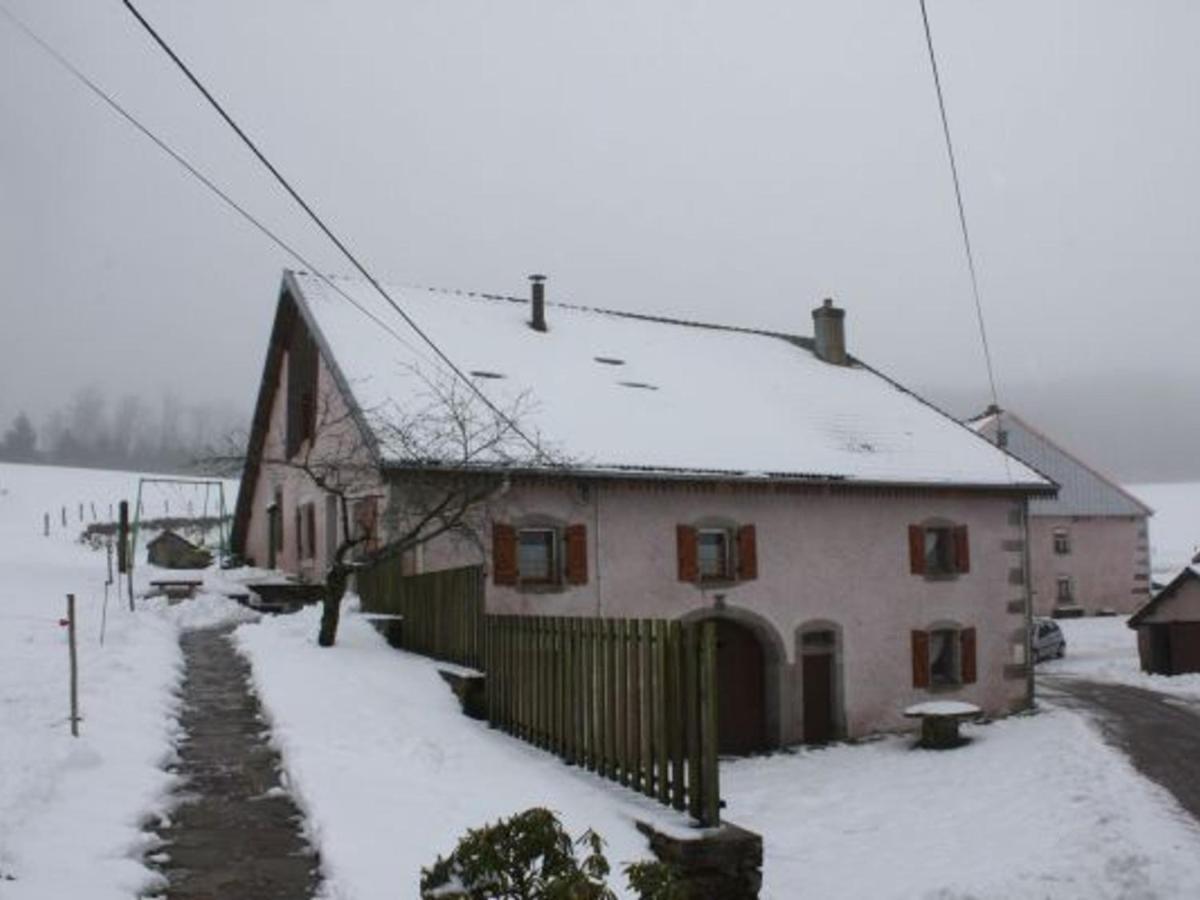 Gite Paisible A 650M D'Alt., Nature, Cheminee, 3 Ch. Pres De Remiremont & Plombieres, Terrasse, Grand Terrain - Fr-1-589-50 Жирмон-Валь-д'Ажоль Экстерьер фото