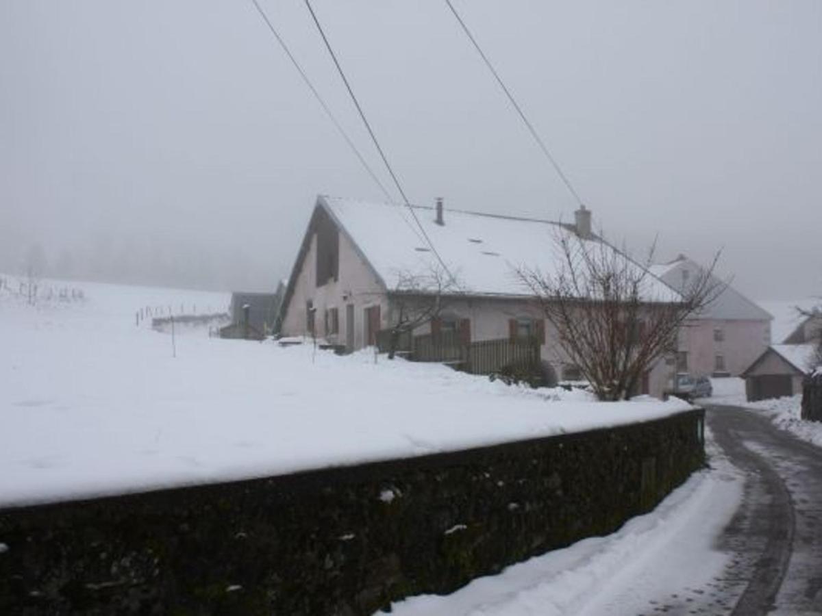 Gite Paisible A 650M D'Alt., Nature, Cheminee, 3 Ch. Pres De Remiremont & Plombieres, Terrasse, Grand Terrain - Fr-1-589-50 Жирмон-Валь-д'Ажоль Экстерьер фото